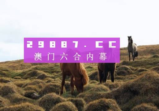 今晚澳門9點(diǎn)35分的彩票開(kāi)獎(jiǎng)，期待與驚喜交織的時(shí)刻，澳門今晚9點(diǎn)35分彩票開(kāi)獎(jiǎng)，期待與驚喜交匯的時(shí)刻