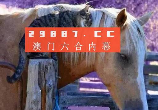 澳門一肖一碼一待一中四不像，探索與解析，澳門一肖一碼一待一中四不像，深度解析與探索