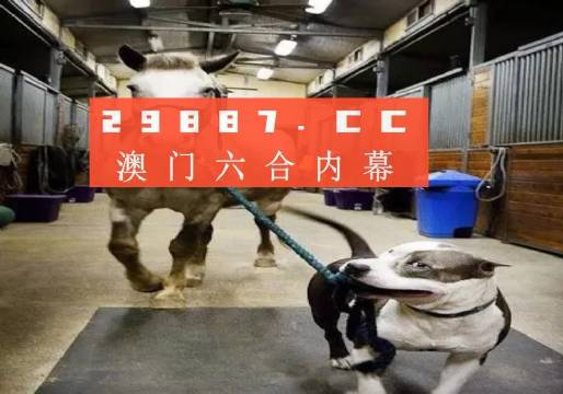 澳門一肖一碼一必中一肖，同舟前進的奧秘與策略，澳門一肖一碼必中策略與前進奧秘，同舟共濟的揭秘與策略
