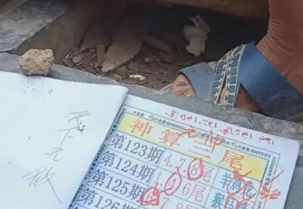 香港中特期期準(zhǔn)資料，深度解析與探索，香港中特期期準(zhǔn)資料深度解析與探索報(bào)告
