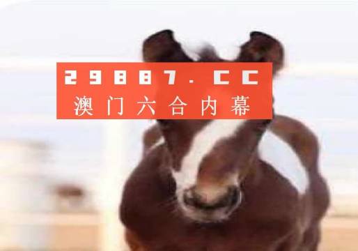 澳門一肖一碼狀元紅，揭秘彩票背后的秘密與策略，澳門彩票揭秘，狀元紅背后的秘密與策略解析