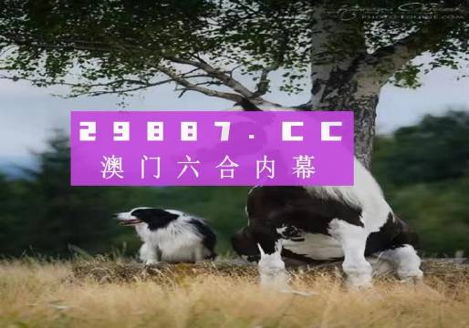 澳門天天空彩官網(wǎng)資料，探索彩票世界的門戶，澳門天天空彩官網(wǎng)資料，彩票世界探索門戶