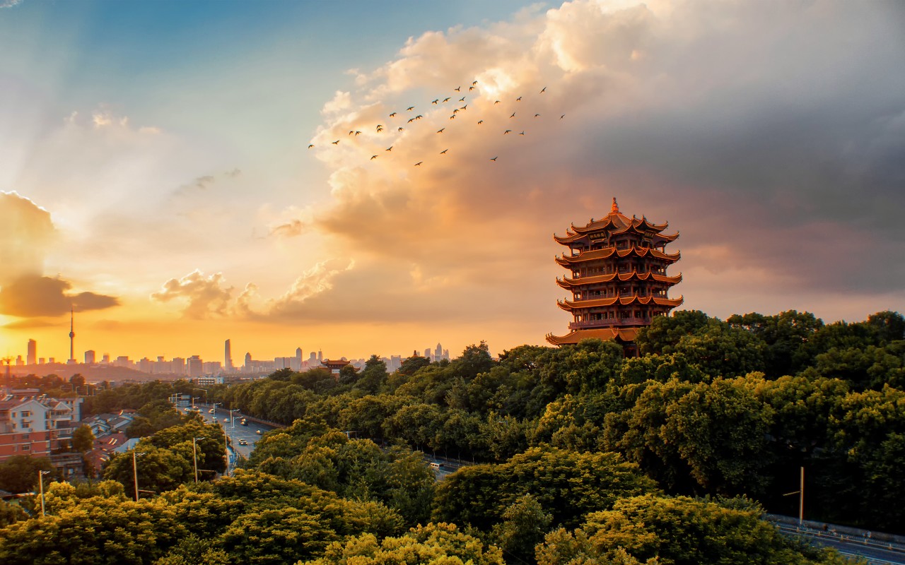 103期:【?黃鶴樓?歲月靜好?④肖中特】審核通過(guò)?黃鶴樓8888043.com