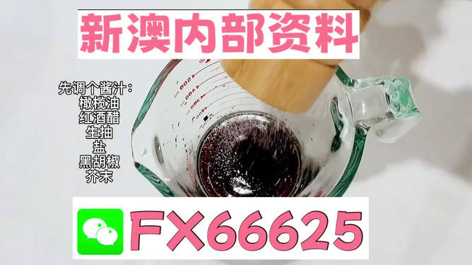 2025年新澳正版免費(fèi)料，全面解析與獨(dú)家資訊，獨(dú)家解析，揭秘新澳正版免費(fèi)料獨(dú)家資訊至2025年