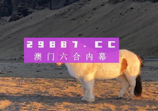 澳門天天彩資料正版免費(fèi)特色快8，探索彩票世界的魅力與機(jī)遇，澳門天天彩正版特色快8，彩票世界的魅力與機(jī)遇探索