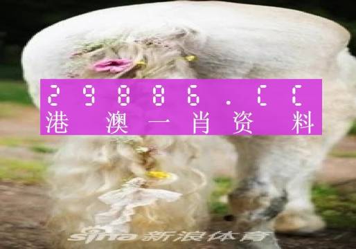 澳門羊了個羊與各大圖庫的資料揭秘，2023年澳門今晚必中一肖一碼永久免費資料庫大解密，澳門羊了個羊與資料庫揭秘，2023年必中一肖一碼永久免費資料大解密