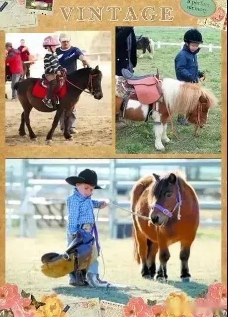 揭秘今晚澳門特馬開彩結果，四不像彩種深度解析，澳門特馬開彩結果揭秘，四不像彩種深度解析與預測