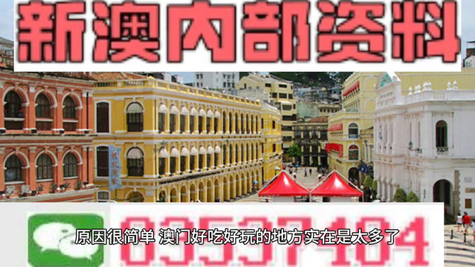 澳門精準資料大全免費，探索與解析，澳門精準資料大全免費解析探索