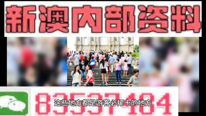 新澳天天開獎資料大全旅游團——探索澳門的魅力之旅，澳門魅力探索之旅，新澳天天開獎資料大全旅游團