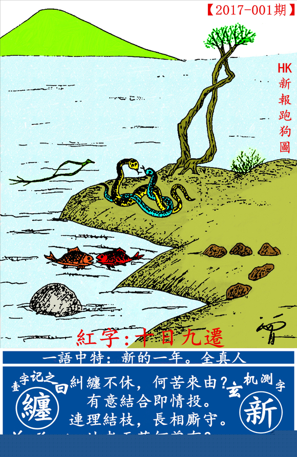 探索全新版跑狗圖，7777788888的魅力與策略，探索全新版跑狗圖，7777788888的魅力與攻略解析