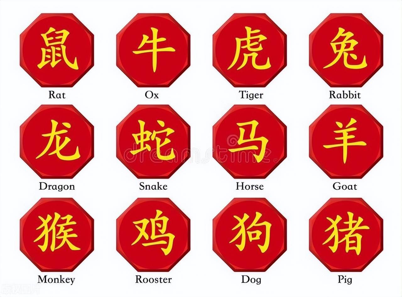 新澳特碼，羊牛虎各數(shù)10——揭秘背后的數(shù)字奧秘，揭秘新澳特碼數(shù)字奧秘，羊?；⒏鲾?shù)背后的秘密