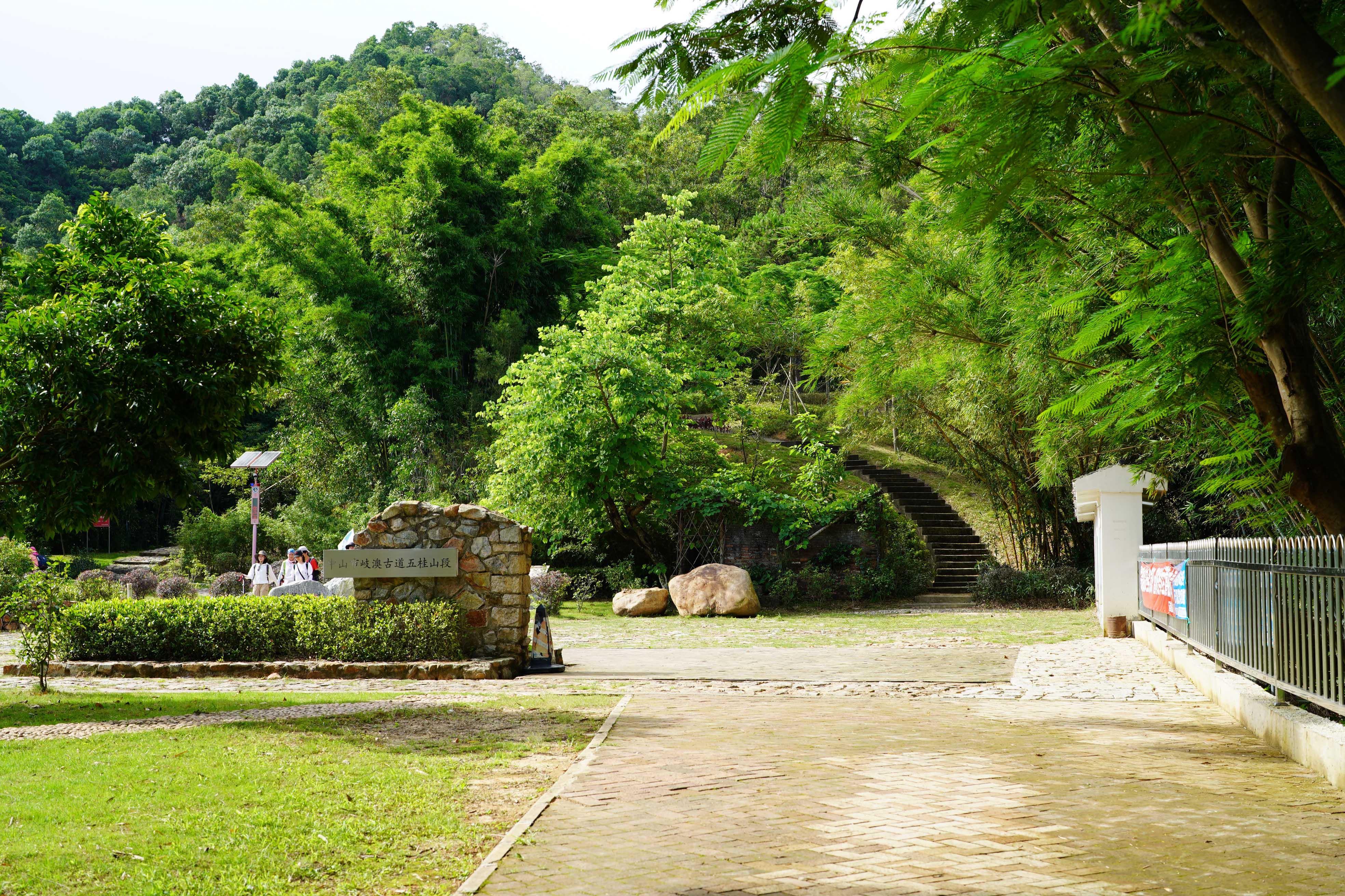 新澳門彩生肖走勢圖，探索與解讀彩票背后的秘密，探索解讀新澳門彩生肖走勢圖，彩票背后的秘密揭秘