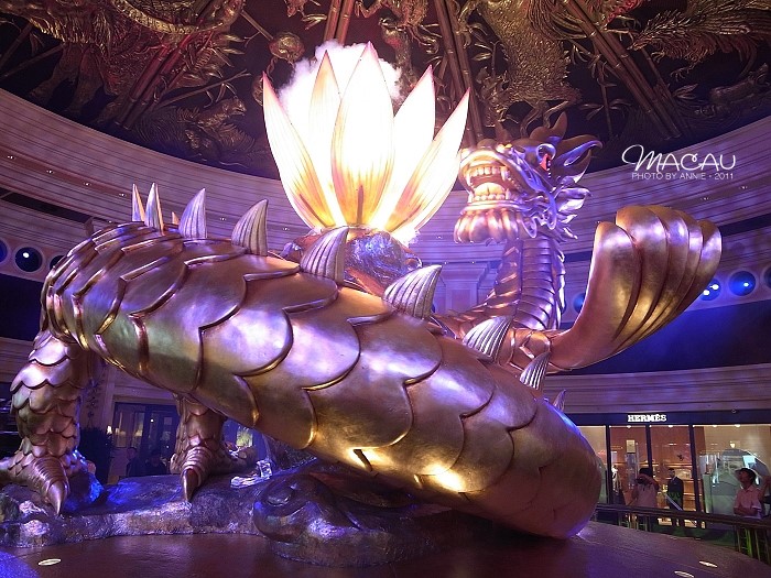 澳門(mén)無(wú)錯(cuò)七尾，探索與解析，澳門(mén)無(wú)錯(cuò)七尾，深度探索與解析
