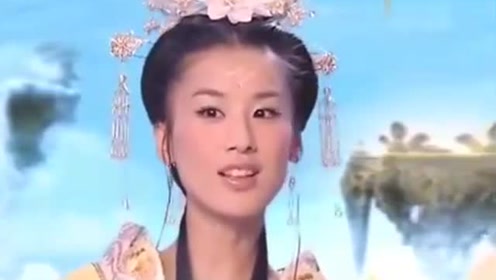 曾道道人資料免費大全，深度探索與解析，曾道道人資料深度解析與免費大全探索