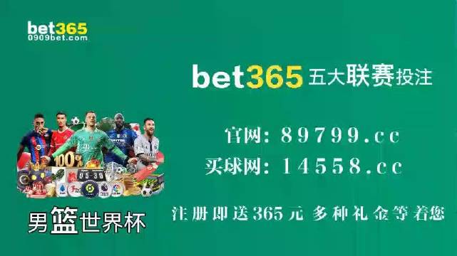 王中王中特馬王中王精準(zhǔn)資料解析與SEO優(yōu)化策略探討，王中王中特馬精準(zhǔn)資料解析與SEO策略探討