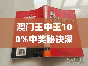 新澳門王中王期期中，探索與解析，新澳門王中王期期中，深度探索與解析