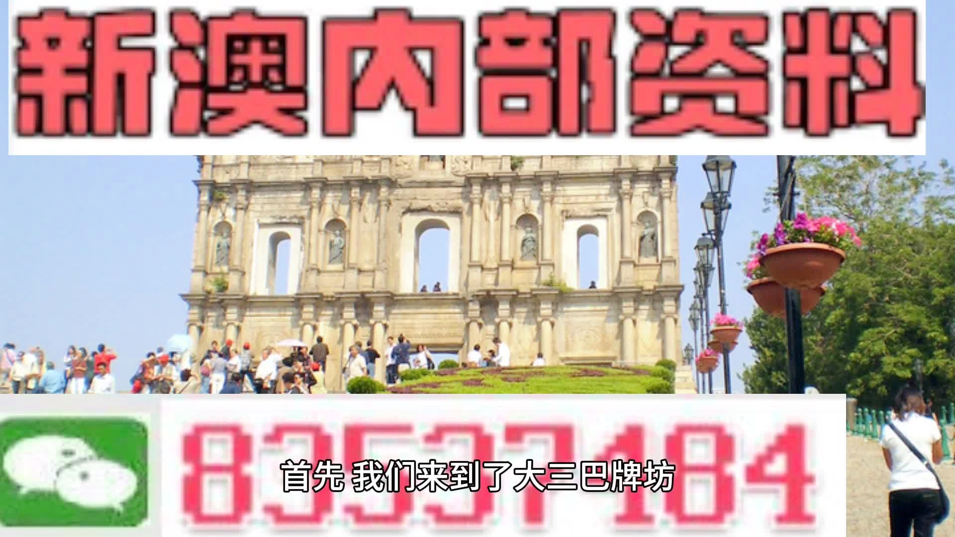 新澳持碼會(huì)資料詳解，新澳持碼會(huì)資料全面解析
