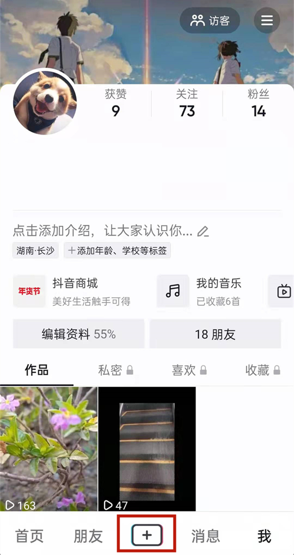 白小姐的精準免費四肖，揭秘背后的秘密，揭秘白小姐精準免費四肖背后的秘密