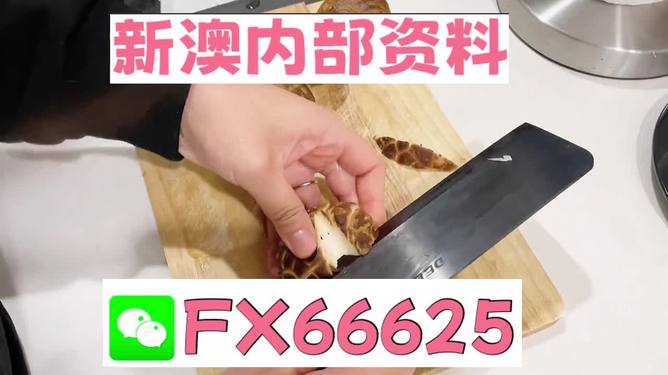 澳門九點半9點半網(wǎng)站——探索其魅力與優(yōu)勢，澳門九點半網(wǎng)站，魅力與優(yōu)勢探索