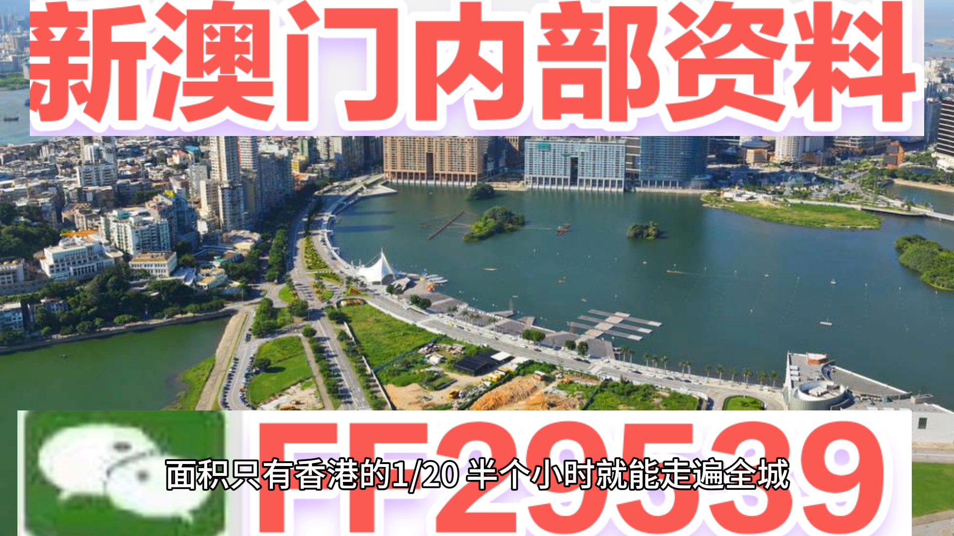 澳門特碼，探索其背后的秘密與魅力，澳門特碼背后的秘密與魅力探索