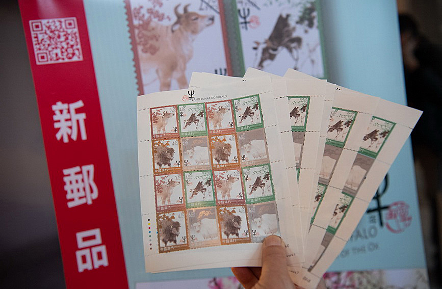 澳門值日生肖600圖庫(kù)與八百圖庫(kù)開獎(jiǎng)，探索生肖圖庫(kù)的魅力與奧秘，澳門生肖圖庫(kù)開獎(jiǎng)揭秘，探索值日生肖600圖庫(kù)與八百圖庫(kù)的魅力與奧秘