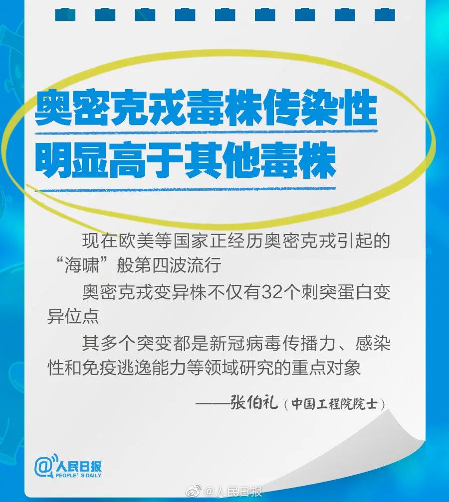 新奧2025最新資料大全，準(zhǔn)確資料全面解析，新奧2025最新資料大全，全面解析準(zhǔn)確資料一網(wǎng)打盡