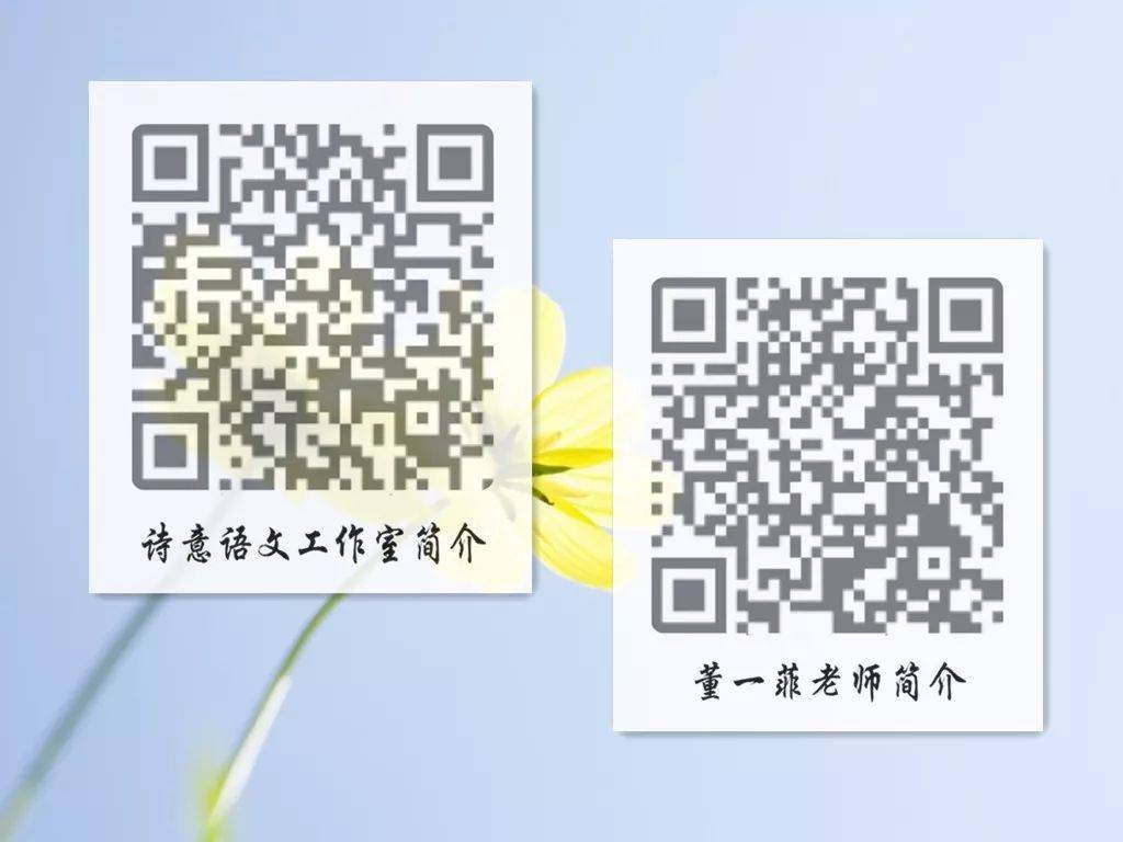 一碼一肖一特一，揭秘背后的秘密與獨特之處，揭秘一碼一肖一特一的獨特之處與背后秘密