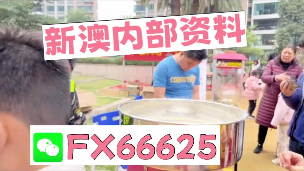 新澳2025芳草地資料大全，深度解析與前瞻性展望，新澳2025芳草地，資料深度解析與前瞻性展望
