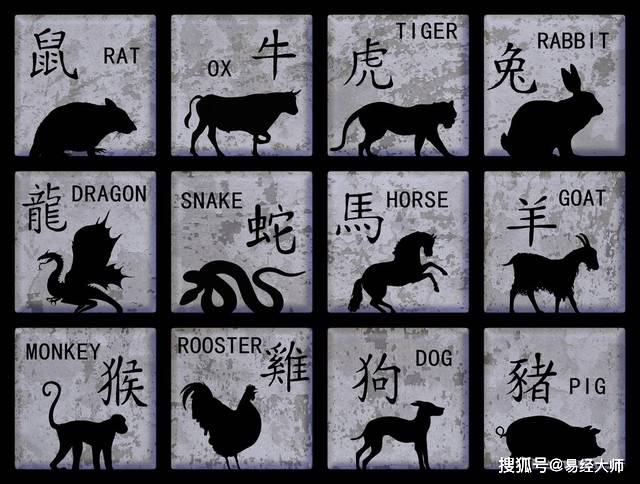 新澳特碼，羊?；⒏鲾?0的獨特魅力與解析，新澳特碼，羊?；⒏鲾?0的獨特魅力深度解析