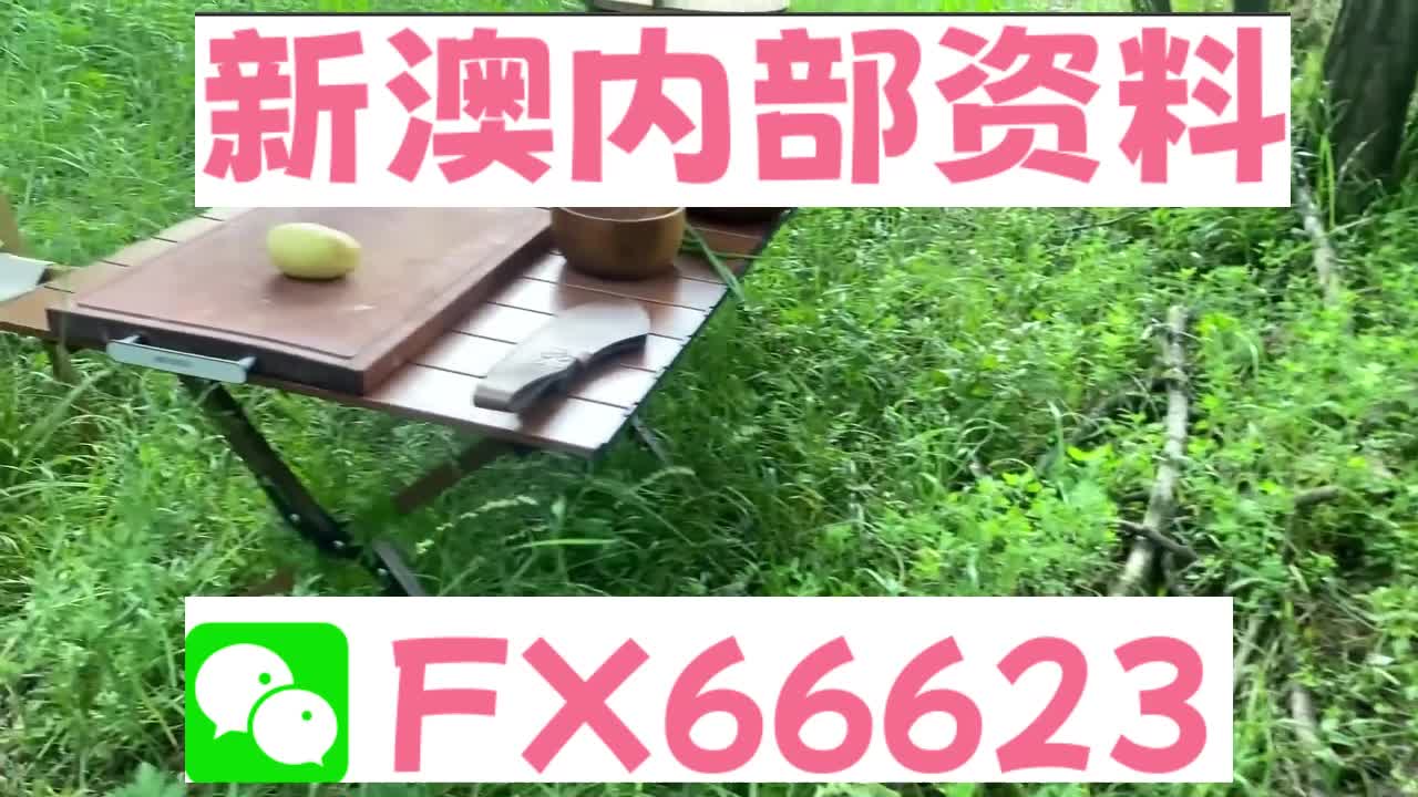 新奧特碼走勢圖解析與預(yù)測，新奧特碼走勢圖解析與預(yù)測，未來趨勢探討