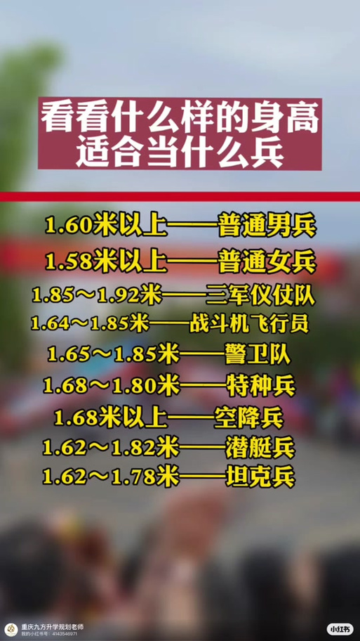 儀仗兵身高標(biāo)準(zhǔn)，探究與解析，儀仗兵身高標(biāo)準(zhǔn)，探究與詳解