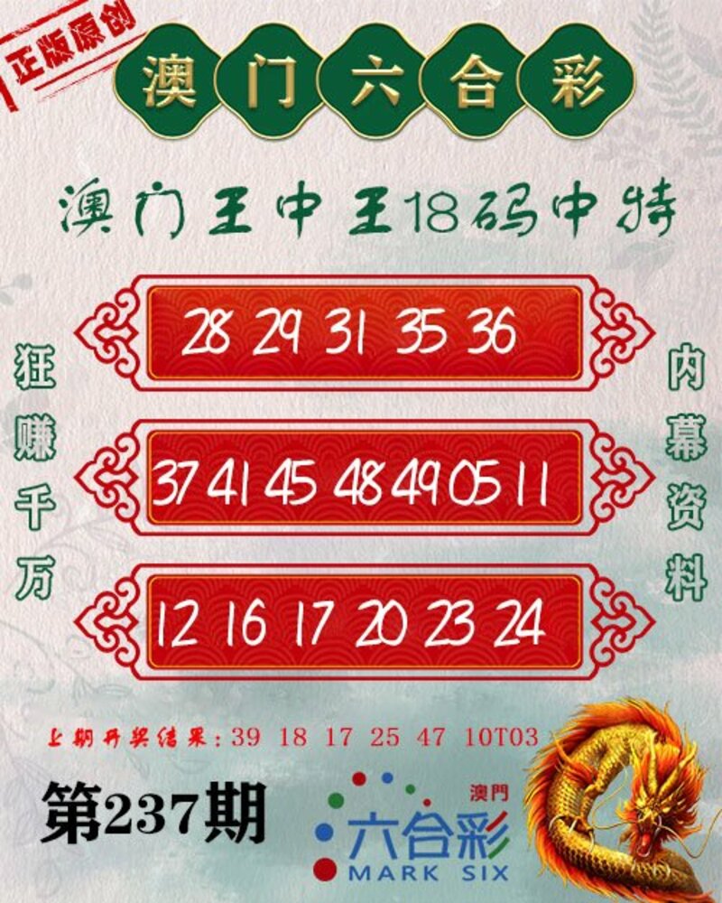 新澳門王中王期期中，探索與解析，新澳門王中王期期中，深度探索與解析