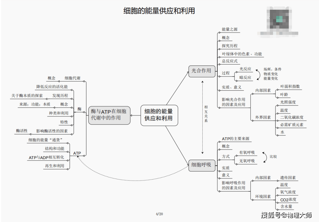 三肖必中三期必出資料