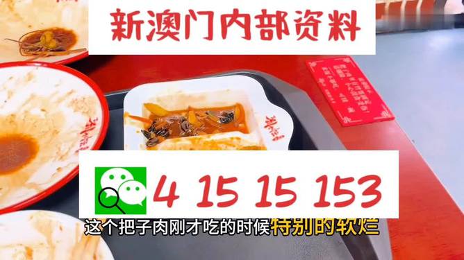 澳門王中王六碼新澳門，探索與解析，澳門王中王六碼新澳門，深度探索與解析