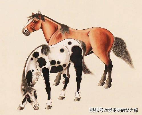 香港四不像一肖生肖圖