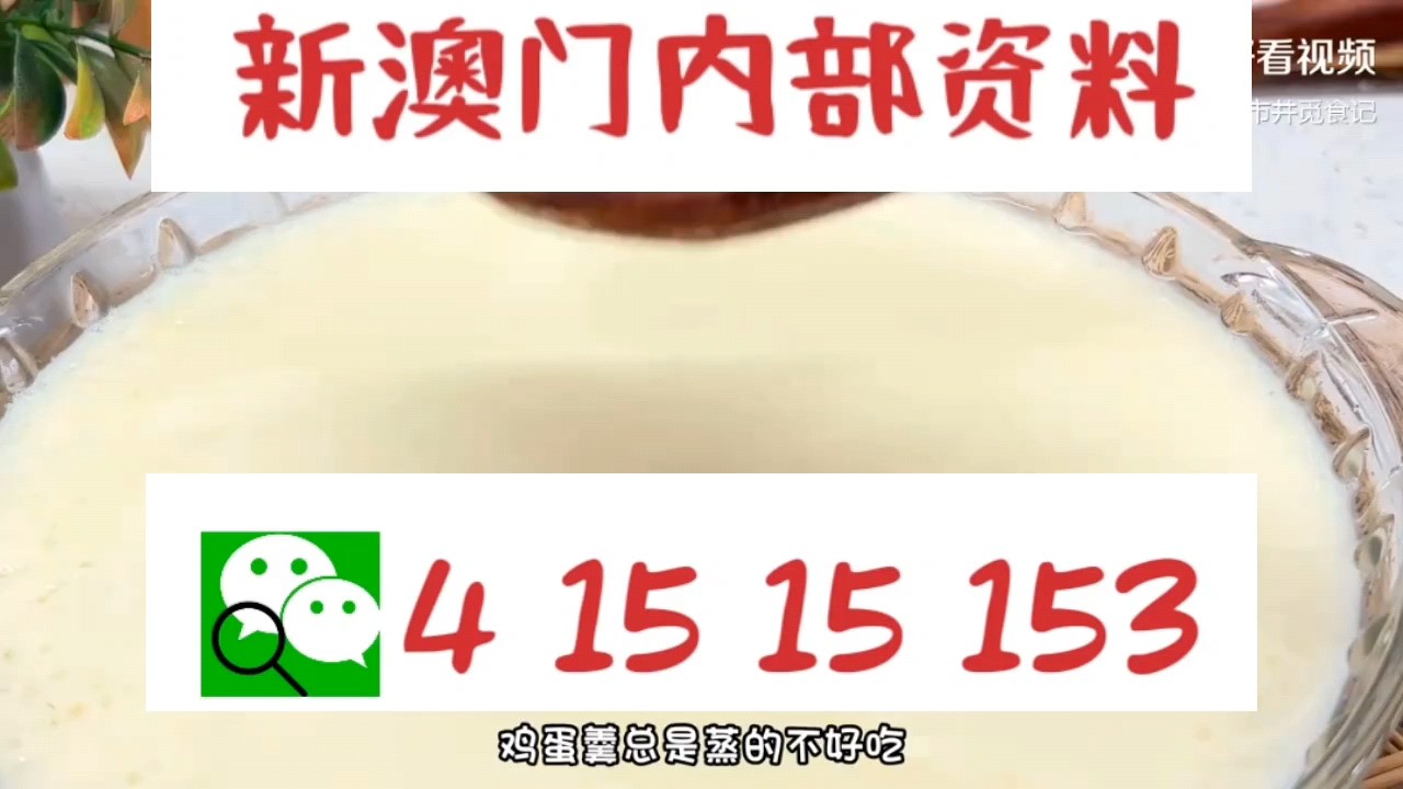 新澳門中特網(wǎng)中特馬，探索與解析，澳門中特馬探索與解析指南