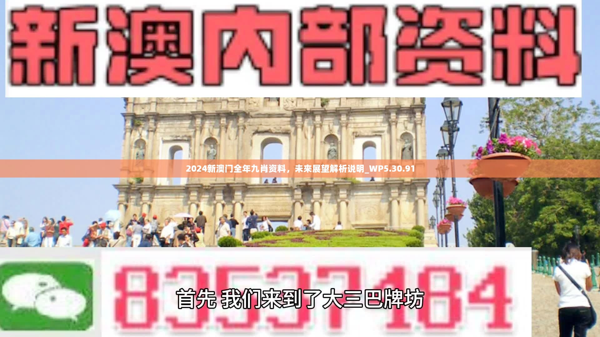 新澳門精準(zhǔn)九肖，揭秘預(yù)測(cè)技巧與策略，揭秘新澳門精準(zhǔn)九肖預(yù)測(cè)技巧與策略