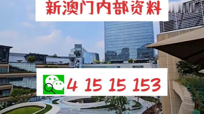 新澳門單雙，探索數(shù)字世界的奧秘與魅力，澳門數(shù)字世界的奧秘與魅力探索，單雙數(shù)的奇幻之旅