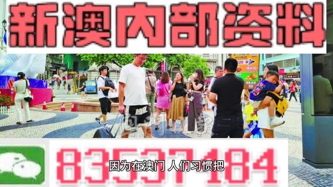 澳門資料大全新版本優(yōu)勢(shì)，澳門資料大全新版優(yōu)勢(shì)解析