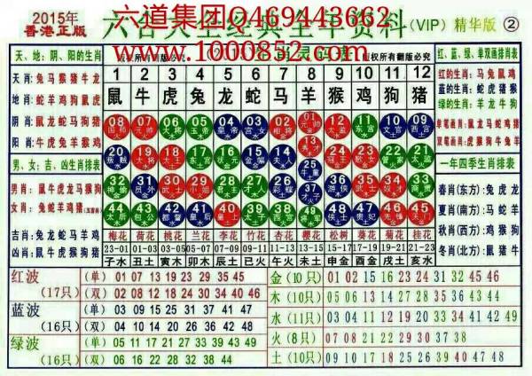 揭秘2024十二生肖49碼表——完整指南，揭秘十二生肖49碼表全攻略，2024年最新版指南