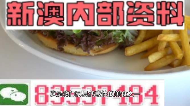 新澳2024生肖最新資料解析與預(yù)測(cè)，新澳2024生肖解析與預(yù)測(cè)報(bào)告