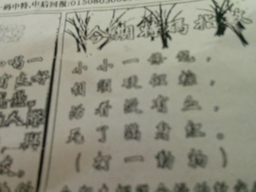劉伯溫09期平碼一肖——揭秘預(yù)測之謎，劉伯溫09期平碼一肖預(yù)測揭秘，揭秘預(yù)測之謎