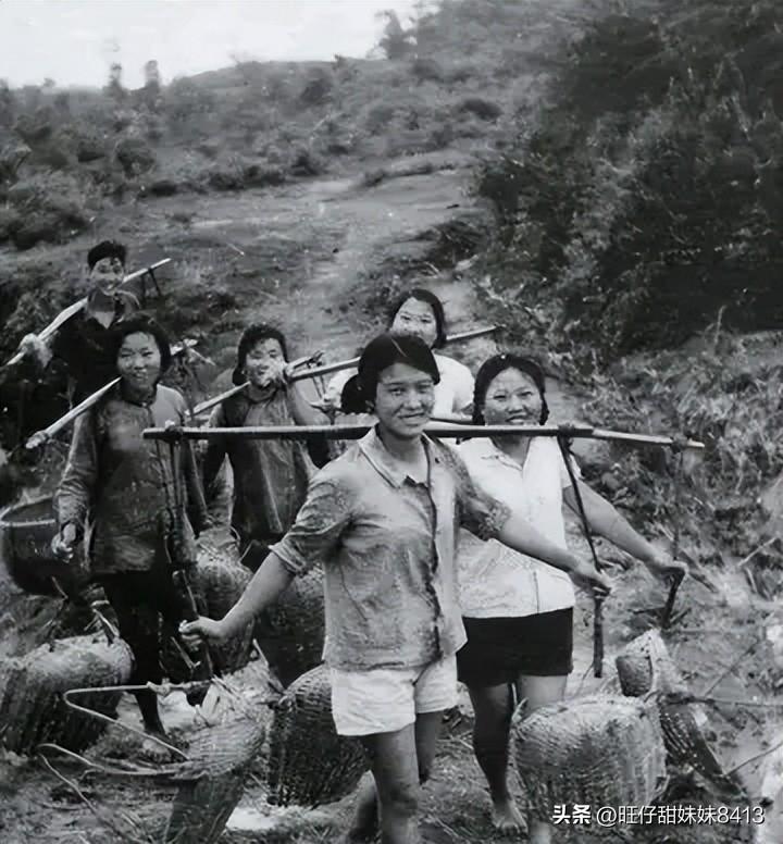 關(guān)于49圖庫圖片資料的專業(yè)解析與探索，49圖庫圖片資料深度解析與探索