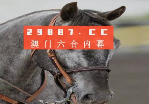 今晚澳門精準(zhǔn)一肖一馬預(yù)測，揭秘生肖與馬匹的神秘聯(lián)系，揭秘生肖與馬匹的神秘聯(lián)系，澳門精準(zhǔn)一肖一馬預(yù)測今晚揭曉