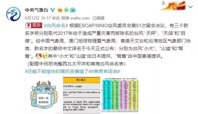新澳門必中三肖三碼三期必開劉伯，揭秘彩票背后的秘密與策略，揭秘彩票背后的秘密與策略，劉伯的新澳門三期必開三肖三碼預(yù)測技巧