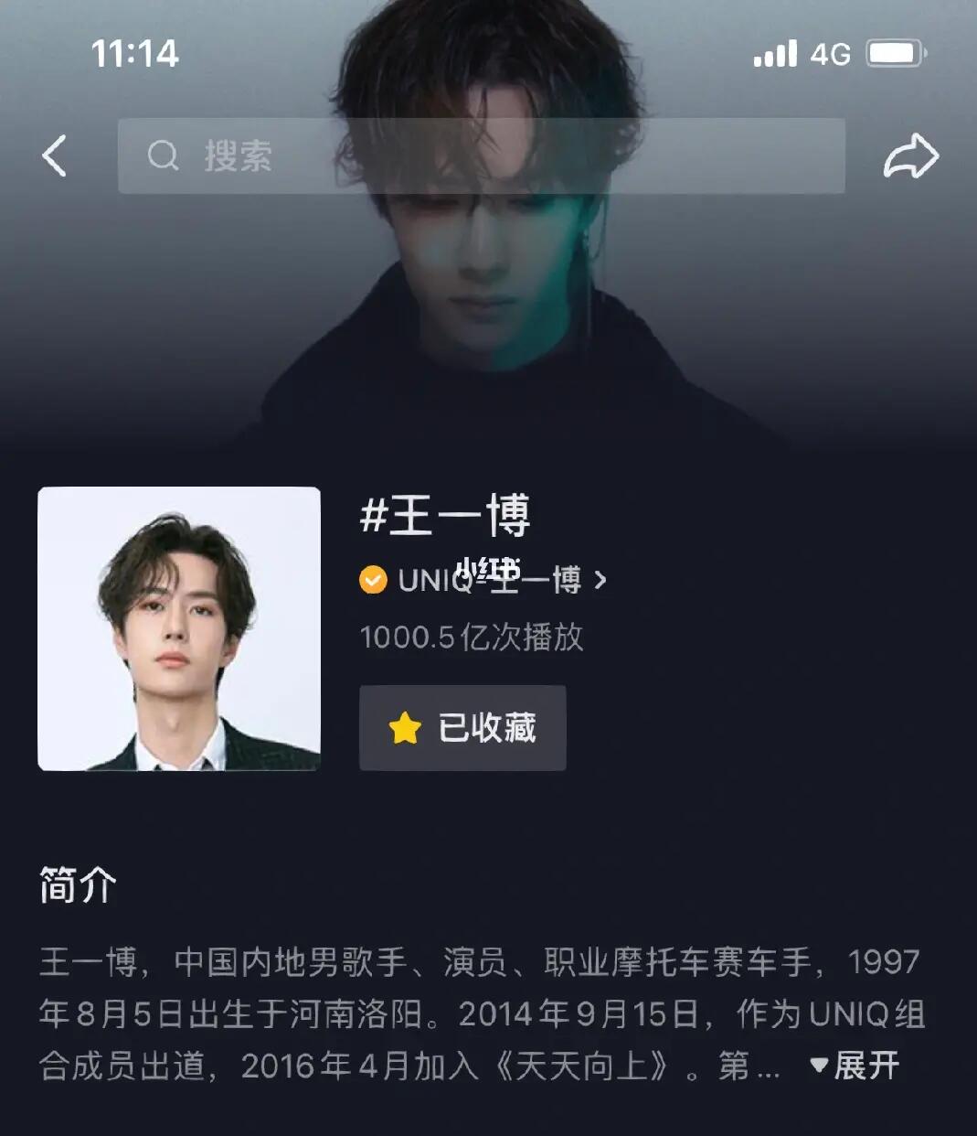 王中王一肖內(nèi)部資料詳解，王中王一肖內(nèi)部資料深度解析