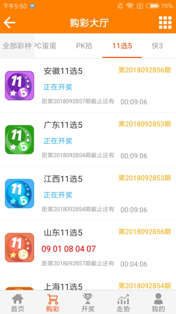 王中王黃金一肖二碼資料，深度解析與SEO優(yōu)化，王中王黃金一肖二碼資料深度解析與SEO優(yōu)化技巧