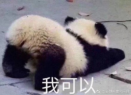 澳門精準(zhǔn)四不像最新正版，揭秘與探索，澳門精準(zhǔn)四不像揭秘與探索最新正版資訊