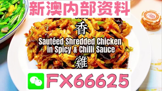 新奧天天精準(zhǔn)資料大全，全方位解讀與應(yīng)用指南，新奧天天精準(zhǔn)資料大全，全方位解讀與應(yīng)用指南手冊