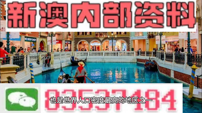 新澳最精準(zhǔn)龍門客棧，探索獨(dú)特魅力的旅游住宿體驗(yàn)，新澳龍門客棧，獨(dú)特魅力的旅游住宿體驗(yàn)探索